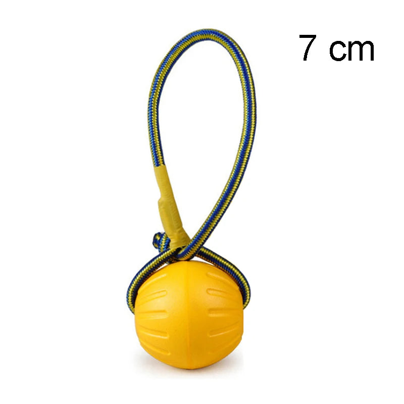 Training Ring Puller -  Large Dogs