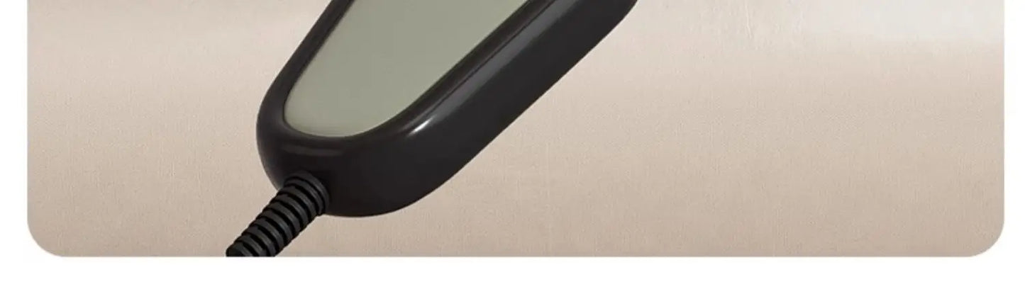 Smart Electric Adjustable Home Care Bed