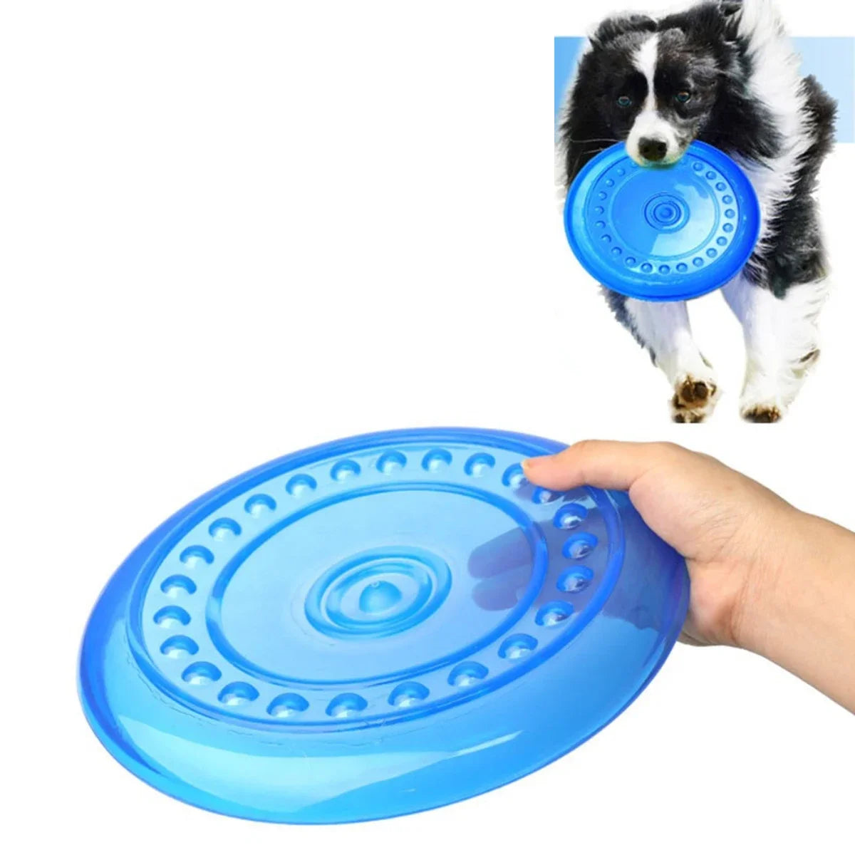 Dog Flying Discs
