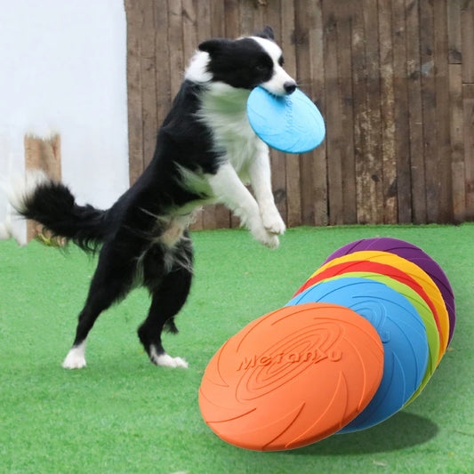 Pet Dog Flying Training Disk Toy