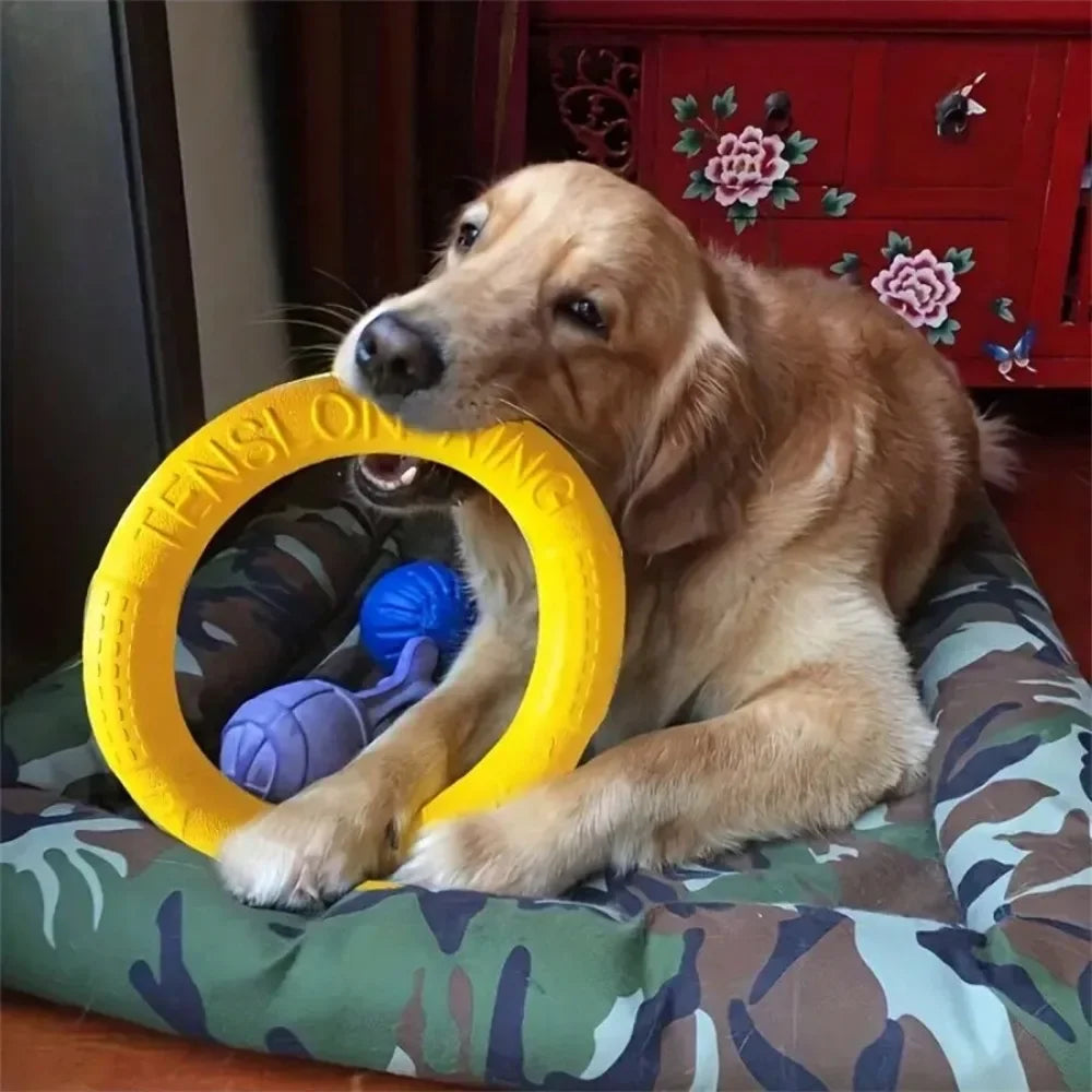 Dog Toys Pet Flying Disk Training Ring