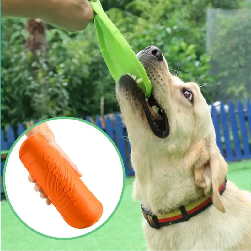 Pet Dog Flying Training Disk Toy