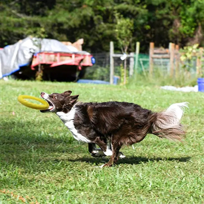 Training Ring Puller -  Large Dogs