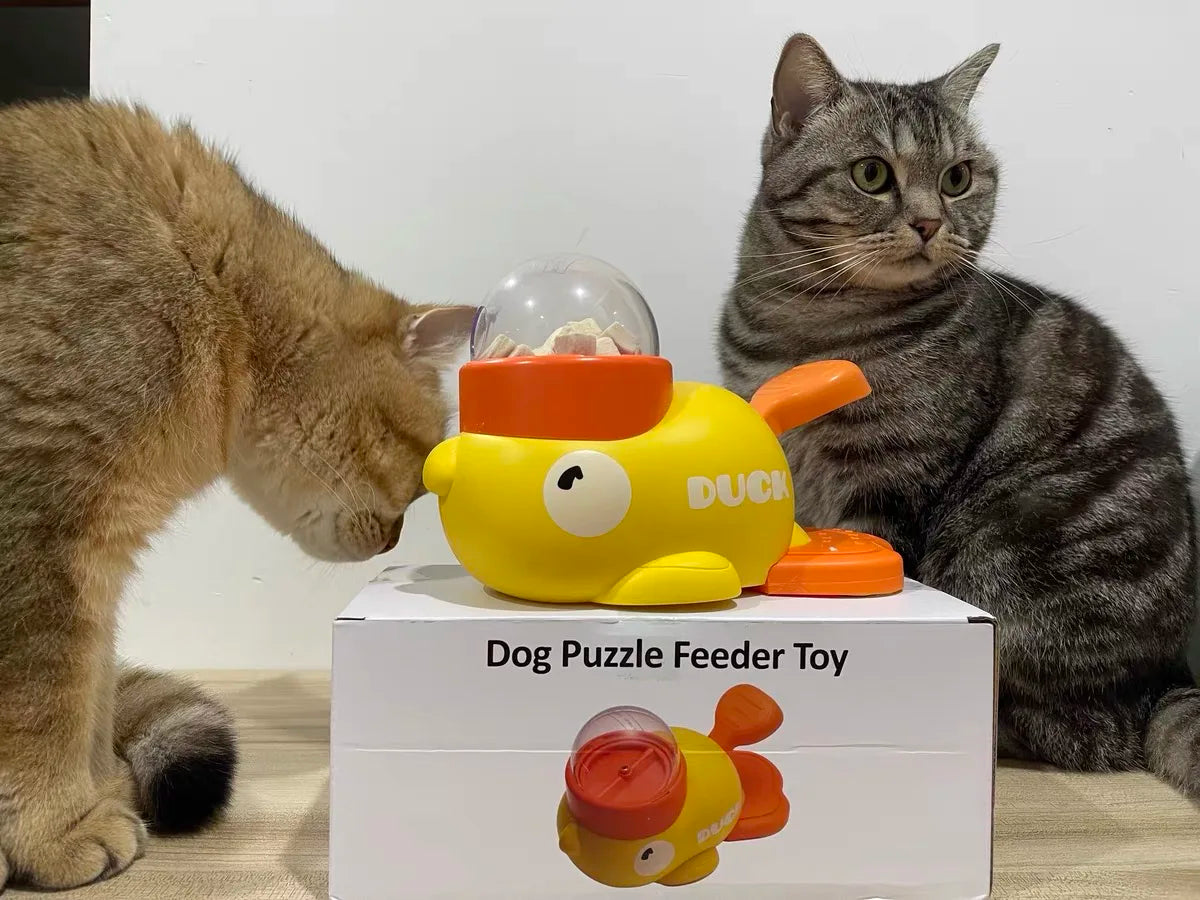 Interactive Dog Puzzle Feeder