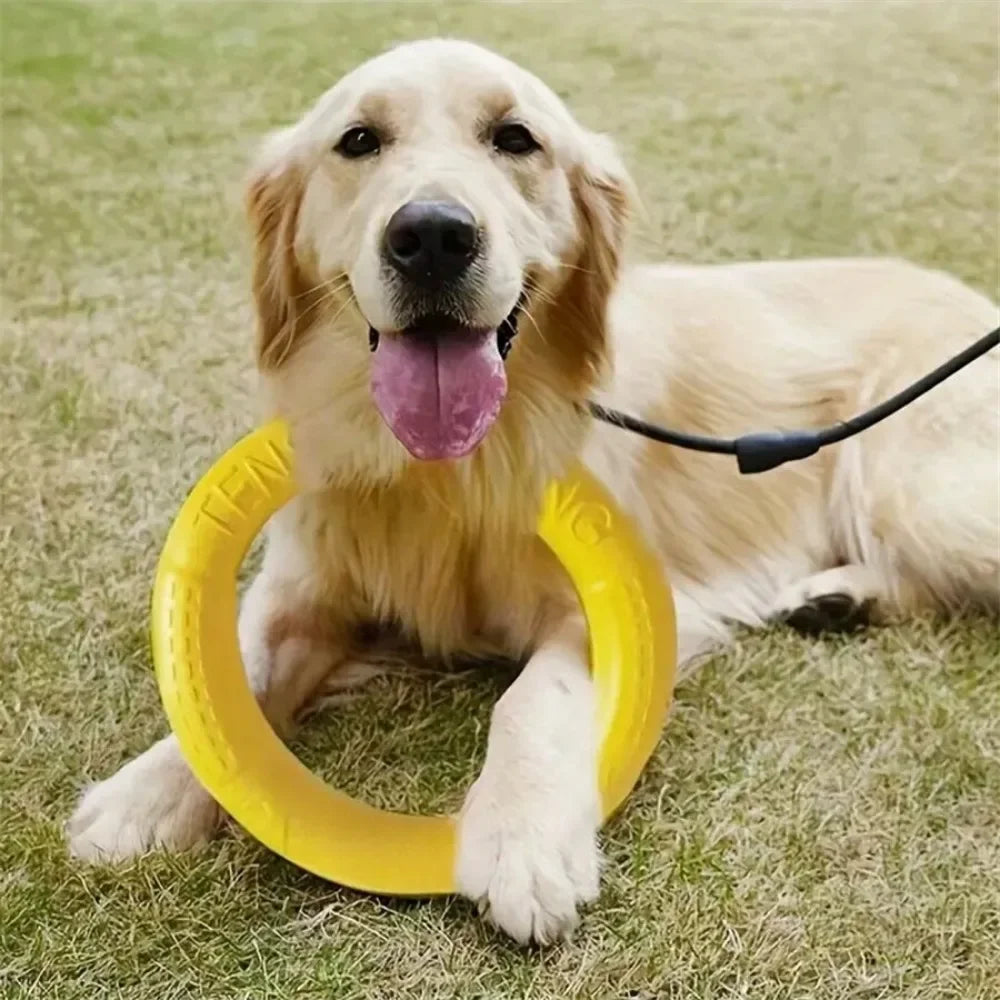 Dog Toys Pet Flying Disk Training Ring