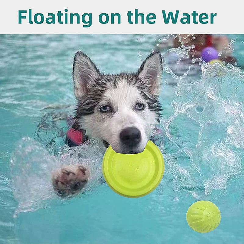 Training Ring Puller -  Large Dogs