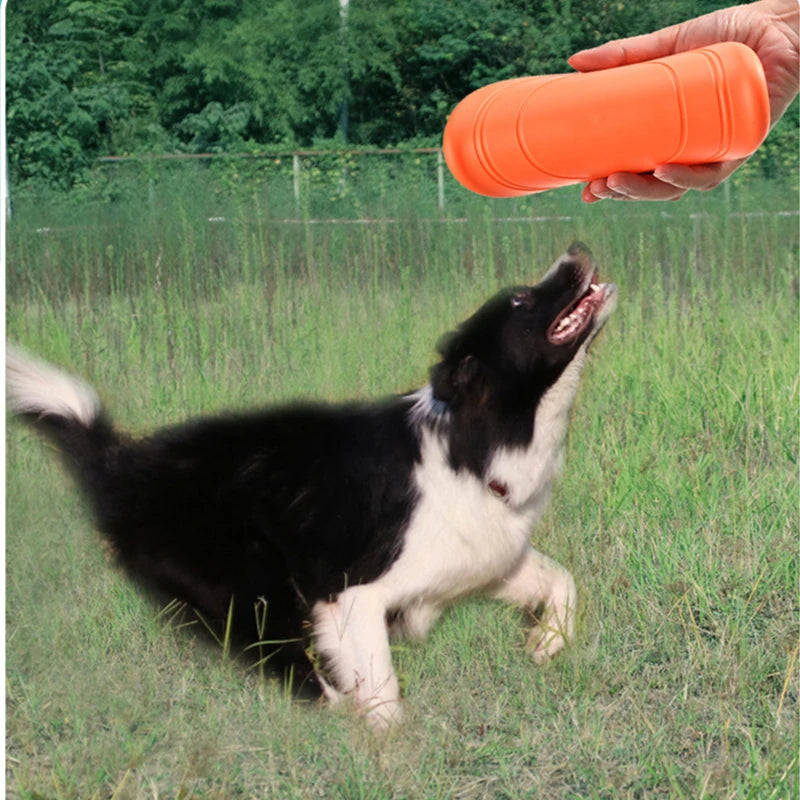 Pet Dog Flying Training Disk Toy
